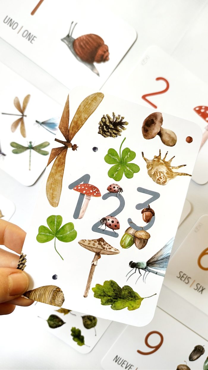 Flashcards Conteo - Imagen 2