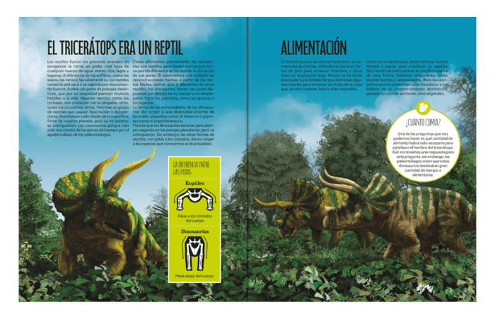EL MUNDO DEL TRICERATOPS - Libro y piezas para armar - Imagen 4